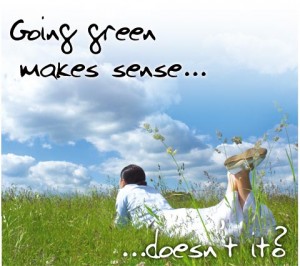 Go Green, Save Money by Theodore Henderson